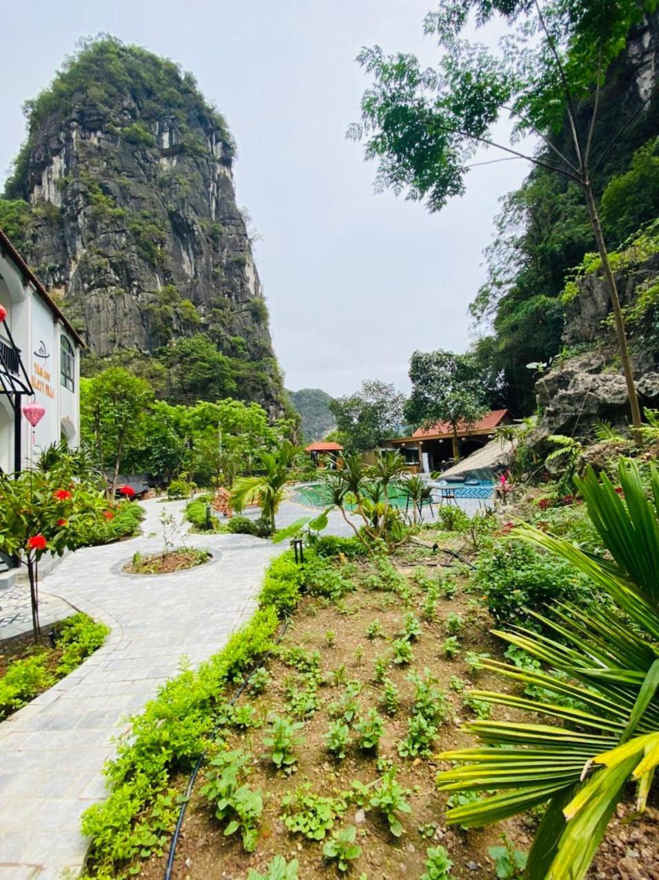 Tam Coc Galaxy Villa Ninh Binh Eksteriør billede